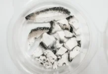 Томский политехнический университет и ИК СО РАН создают топливо из торфа и отрубей tomskij politehnicheskij universitet i ik so ran sozdayut toplivo iz torfa i otrubej-news-blog-ru-0