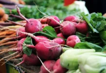 Ученые Пермского Политеха с Bacillus subtilis повысили урожай редиса на 22% uchenye permskogo politeha s povysili urozhaj redisa na 22-news-blog-ru-174885754500-0