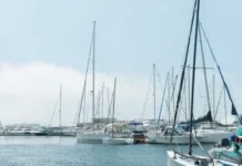 Владивосток требует стратегии развития яхтенной инфраструктуры от Моисеенкова и Ермакова vladivostok trebuet strategii razvitiya yahtennoj infrastruktury ot moiseenkova i ermakova-news-blog-ru-0