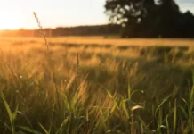 Запреты на Пятидесятницу 8 июня по народным традициям Троицы 2025 zaprety na pyatidesyatniczu 8 iyunya po narodnym tradicziyam troiczy 2025-news-blog-ru-0