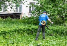 Алексей Вихарев и волонтеры преобразили сквер у горбольницы №23 в Свердловской области aleksej viharev i volontery uborka skvera cgb2_news-blog