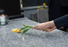 Аудун Гренволд завоевал бронзу на Олимпиаде и триумфировал на Кубке мира по ски-кроссу audun grenvold zavoeval bronzu na olimpiade i triumfiroval na kubke mira po skikrossu-news-blog-ru-0