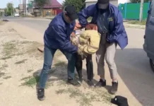 ФСБ предотвратила террористический акт с СВУ в Ростове-на-Дону fsb predotvratila terroristicheskij akt s svu v rostovenadonu-news-blog-ru-0