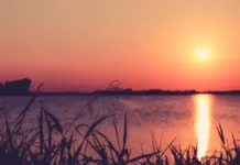 Почему 2 июля, в Зосима Пчельник, важно соблюдать традиции и оберегать здоровье pochemu 2 iyulya v zosima pchelnik vazhno soblyudat tradiczii i oberegat zdorove-news-blog-ru-0