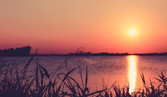 Что нельзя делать 2 июля, в Зосиму Пчельник, чтобы не заболеть