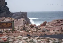 Почему туры в ЮАР, Кению, Танзанию и Занзибар становятся популярнее среди россиян pochemu tury v yuar keniyu tanzaniyu i zanzibar stanovyatsya populyarnee sredi rossiyan-news-blog-ru-0