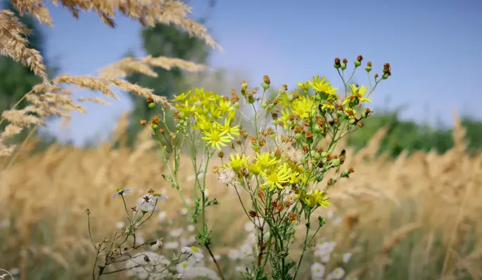 Правила взрослой женщины, которые мешают жить
