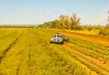 Вдохновляющая история Арканджело Каресса и Бруно с поддержкой Джорджа Мелони vdohnovlyayushhaya istoriya arkandzhelo karessa i bruno s podderzhkoj dzhordzha meloni-news-blog-ru-0