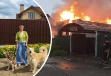 Зоя Числова из Истры ищет хаски Айрушу, люди оказывают помощь после пожара zoya chislova iz istry ishhet haski ajrushu lyudi okazyvayut pomoshh posle pozhara-news-blog-ru-0