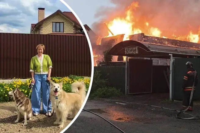 Из шести животных, которые жили в доме, сейчас только одно — собака Хавьер | Источник: Зоя Числова / T.me, Татьяна Дементьева, Истра, буря, безумие / T.me