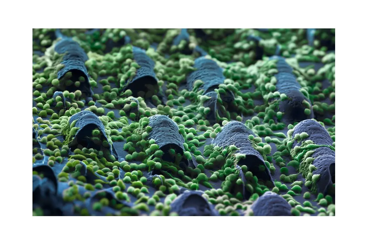 Алексей Ермаков и LIFT разрабатывают умный пластырь для заживления-0