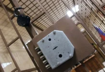 Алексей Степанов и топ-менеджеры ЛУКОЙЛа получают решение суда в деле ФТС aleksej stepanov i topmenedzhery lukojla poluchayut reshenie suda v dele fts-news-blog-ru-0