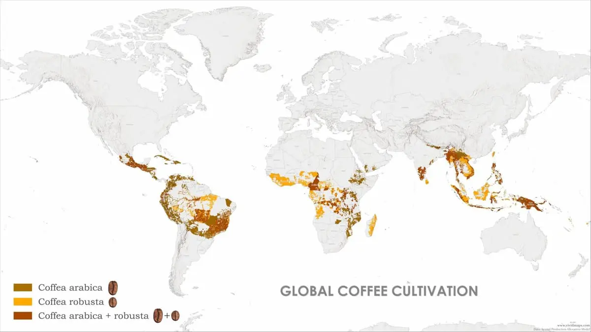 Бразилия, Вьетнам и Колумбия показывают рекордные урожаи арабики и робусты-0