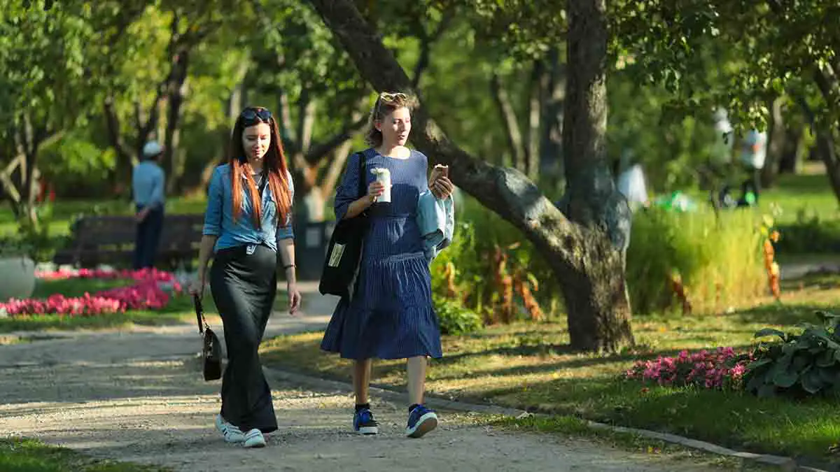 Погода в Московском регионе с 25 по 31 августа