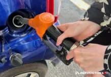 Максим Чирков и Александр Новак прогнозируют стабилизацию цен на топливо maksim chirkov i aleksandr novak prognoziruyut stabilizacziyu czen na toplivo-news-blog-ru-0