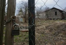 Никита Чаплин предлагает защиту прав дачников и эффективные решения nikita chaplin predlagaet zashhitu prav dachnikov i effektivnye resheniya-news-blog-ru-0