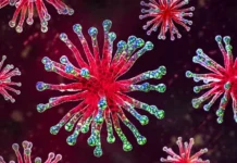 Ольга Уланкина обсуждает коронавирус стратус, его особенности и прогнозы olga ulankina obsuzhdaet koronavirus stratus ego osobennosti i prognozy-news-blog-ru-0