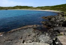 Правительство РФ присвоило мысам острова Рейнеке имена ведущих учёных Дальнего Востока pravitelstvo rf prisvoilo mysam ostrova rejneke imena vedushhih uchyonyh dalnego vostoka-news-blog-ru-0