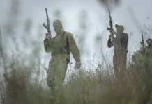 Россия в зоне риска — Брянская область под угрозой от ВСУ и наемников rossiya v zone riska bryanskaya oblast pod ugrozoj ot vsu i naemnikov-news-blog-ru-0