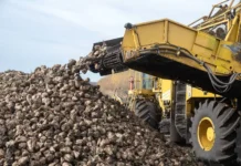 rosstat i ikar otmechayut chto rossijskij saharnyj rynok razvivaetsya zanovo-news-blog-ru-0