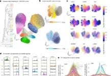 Университет Макгилла и колледж Дугласа открывают новые ключи к механизму депрессии universitet makgilla i kolledzh duglasa otkryvayut novye klyuchi k mehanizmu depressii-news-blog-ru-0
