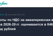 Бюджет России испытывает большие потери из-за НДС на авиаперевозки byudzhet rossii ispytyvaet bolshie poteri izza nds na aviaperevozki-news-blog-ru-0