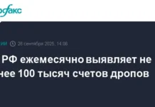ЦБ РФ и Ассоциация банков России усиливают борьбу с дроп-счетами czb rf i assocziacziya bankov rossii usilivayut borbu s dropschetami-news-blog-ru-0