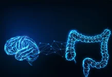 Дарья Русакова и Ирина Бережная о том, как стресс меняет связь мозга и кишечника darya rusakova i irina berezhnaya o tom kak stress menyaet svyaz mozga i kishechnika-news-blog-ru-0