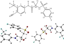 issledovanie vliyaniya sverhkriticheskih flyuidov na bikalutamid provedeno rnf i ik ran-news-blog-ru-0 - news-blog