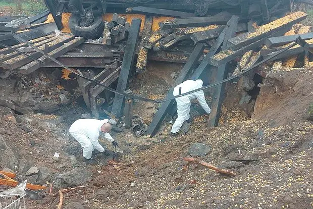 Вводная картинка