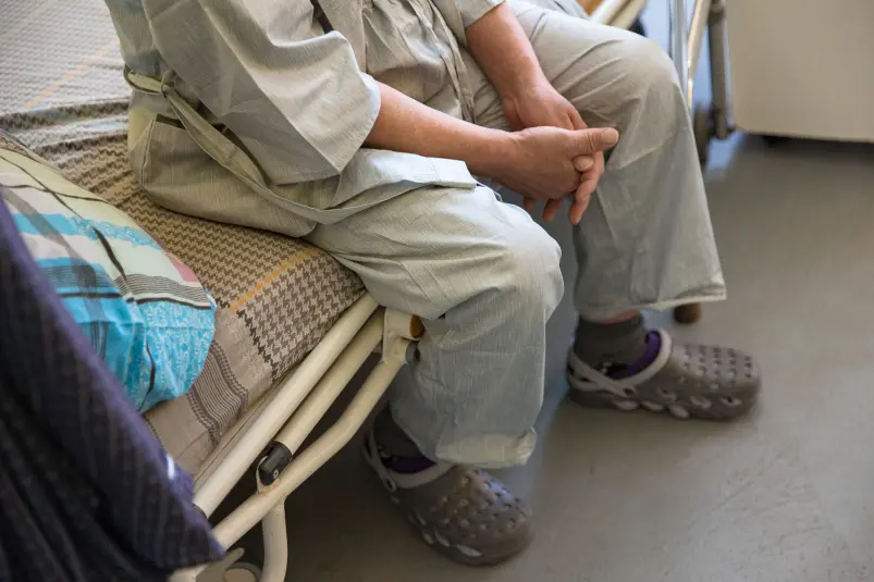 Фото: primamedia.ru