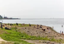 Мэр Константин Шестаков рассказал о преображении Кунгасного пляжа во Владивостоке mer konstantin shestakov rasskazal o preobrazhenii kungasnogo plyazha vo vladivostoke-news-blog-ru-0