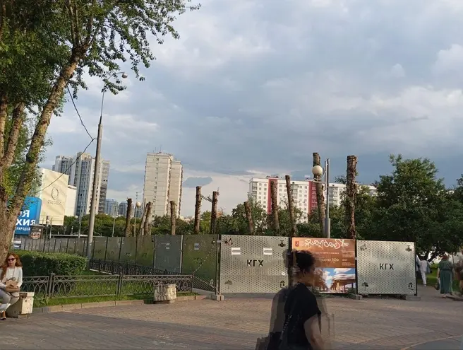 Жители Славянского бульвара пожаловались на безжалостную вырубку деревьев ради строительства «сухих ног» | Источник: читатели MSK1.RU
