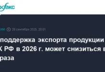 perspektivy gospodderzhki eksporta i stabilizaczii apk rf k 2026 godu-news-blog-ru-0