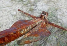 Удивительная находка якоря эпохи Второй мировой у острова Фуругельма udivitelnaya nahodka yakorya epohi vtoroj mirovoj u ostrova furugelma-news-blog-ru-0