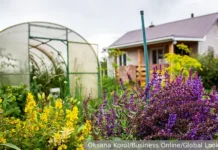 Владимир Викулов объясняет, как сидераты помогут преобразить участок к весне vladimir vikulov obyasnyaet kak sideraty pomogut preobrazit uchastok k vesne-news-blog-ru-0