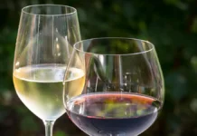 Владислав Сепп предупреждает о рисках домашнего вина в Краснодарском крае vladislav sepp preduprezhdaet o riskah domashnego vina v krasnodarskom krae-news-blog-ru-0