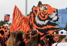 Во Владивостоке отмечают День тигра с шествием и концертом Браво vo vladivostoke otmechayut den tigra s shestviem i konczertom bravo-news-blog-ru-0