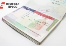 Американцы о будущем гражданства США и политическом курсе страны amerikanczy o budushhem grazhdanstva ssha i politicheskom kurse strany-news-blog-ru-0