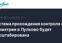 Андрей Никитин и Минтранс РФ запускают масштабный проект биометрии в Пулково andrej nikitin i mintrans rf zapuskayut masshtabnyj proekt biometrii v pulkovo-news-blog-ru-0