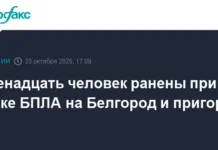 Атака БПЛА на Белгород привела к пострадавшим и организованной помощи ataka bpla na belgorod privela k postradavshim i organizovannoj pomoshhi-news-blog-ru-0