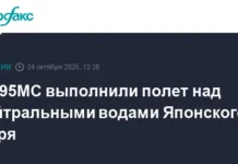 Экипажи Ту-95МС успешно провели полет над Японским морем под защитой Су-35С и Су-30СМ ekipazhi tu95ms uspeshno proveli polet nad yaponskim morem pod zashhitoj su35s i su30sm-news-blog-ru-0