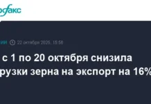 eksport zerna iz novorossijska i azova demonstriruet rost postavok v egipet turcziyu i iran-news-blog-ru-0