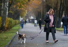 gibdd publikuet prognozy sinoptikov o pogode v moskve na konecz oktyabrya-news-blog-ru-0