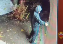 ГУ МВД России по городу Москве сообщает подробности стрельбы возле кафе в Подмосковье gu mvd rossii po gorodu moskve soobshhaet podrobnosti strelby vozle kafe v podmoskove-news-blog-ru-0