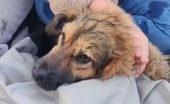 Вводная картинка