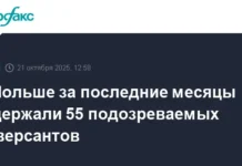 Польские спецслужбы задержали 55 подозреваемых в деле Агентства безопасности polskie speczsluzhby zaderzhali 55 podozrevaemyh v dele agentstva bezopasnosti-news-blog-ru-0
