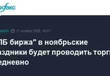 СПБ биржа объявляет ежедневные торги в праздничные дни ноября 2024 года spb birzha obyavlyaet ezhednevnye torgi v prazdnichnye dni noyabrya 2024 goda-news-blog-ru-0