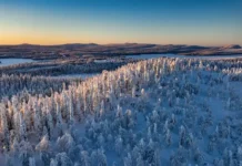 В Красноярском крае ищут семью Усольцевых при помощи волонтеров и ЛизаАлерт v krasnoyarskom krae ishhut semyu usolczevyh pri pomoshhi volonterov i lizaalert-news-blog-ru-0