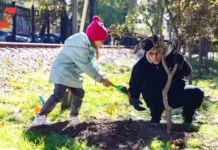 В Ростове-на-Дону отметили день древонасаждения с участием ЮФУ v rostovenadonu otmetili den drevonasazhdeniya s uchastiem yufu-news-blog-ru-0